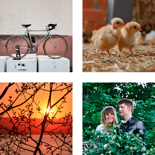 service-photo Photographe Occitanie