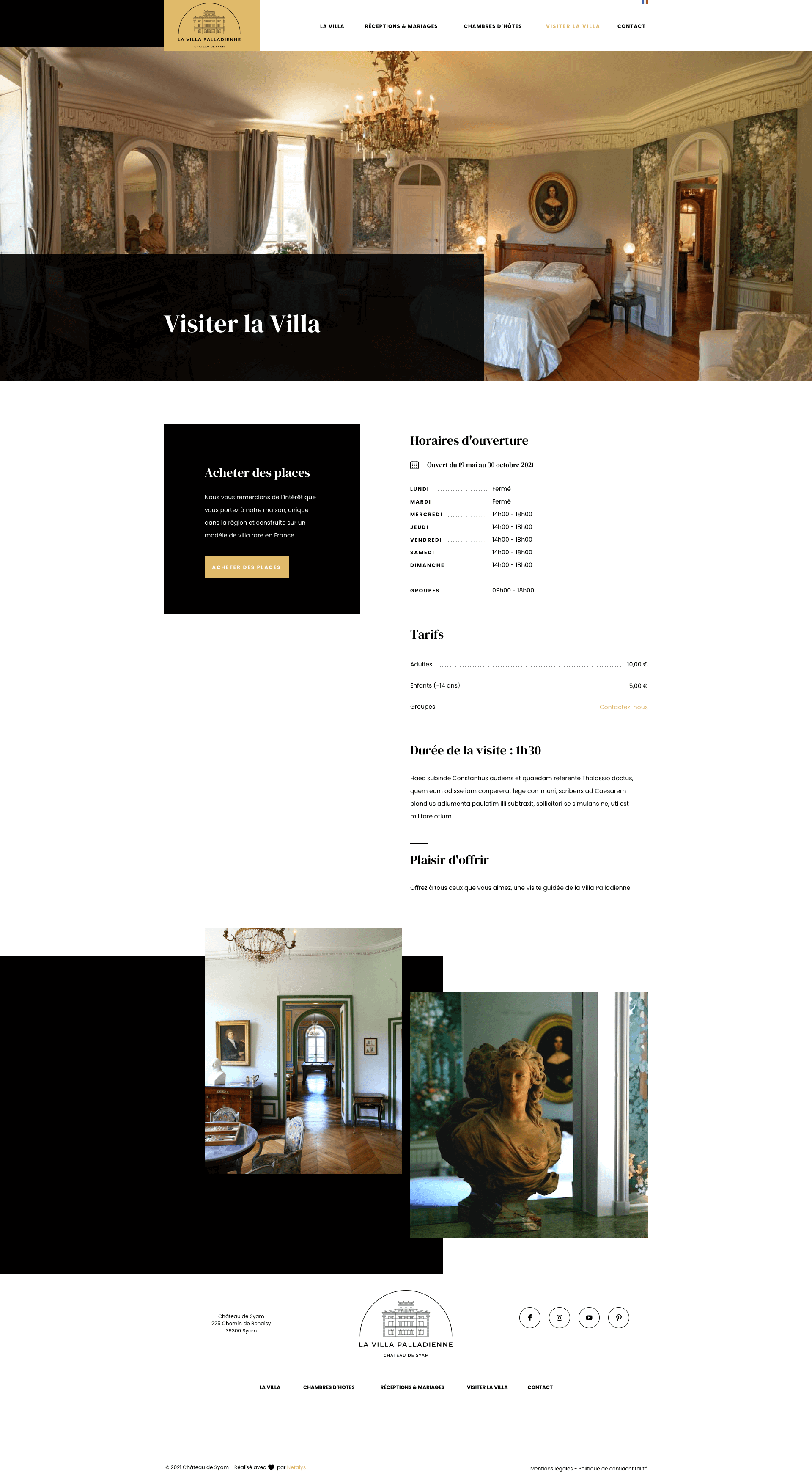 UI/UX Design
